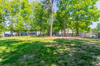 Dog park